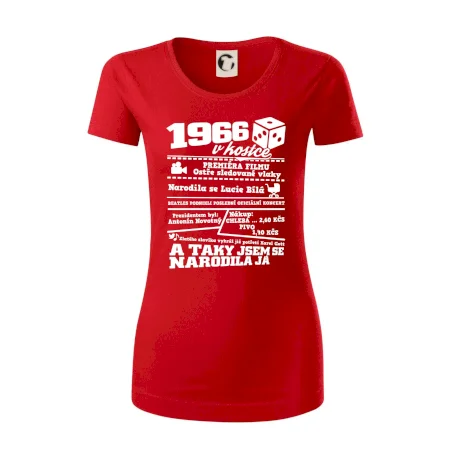 1966 v kostce
