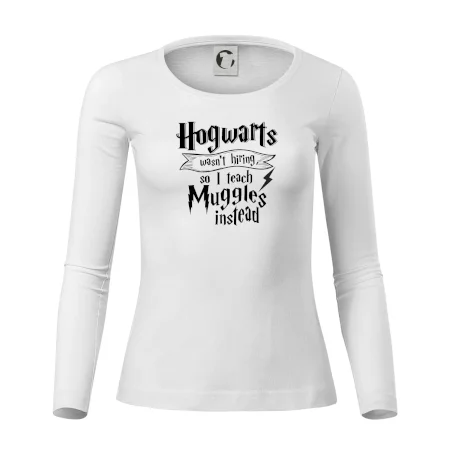 Harry - Hogwarts wasn’t hiring, so I teach Muggles instead