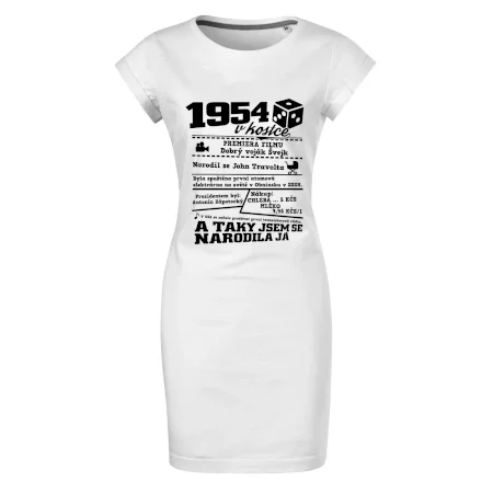 1954 v kostce