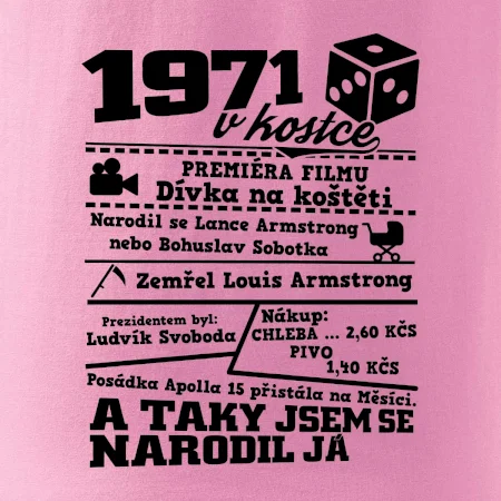 1971 v kostce