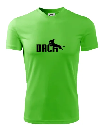 Jezevčík Dach
