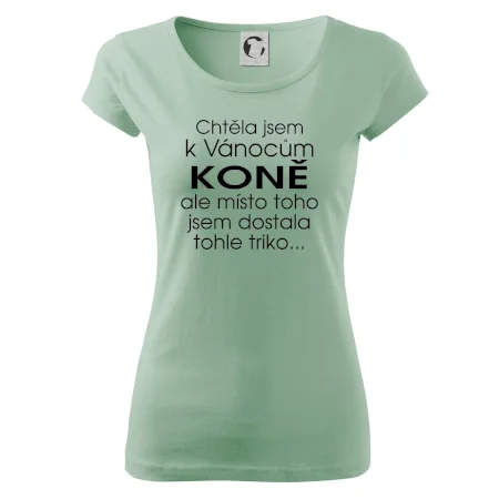Chtěla jsem k Vánocům koně