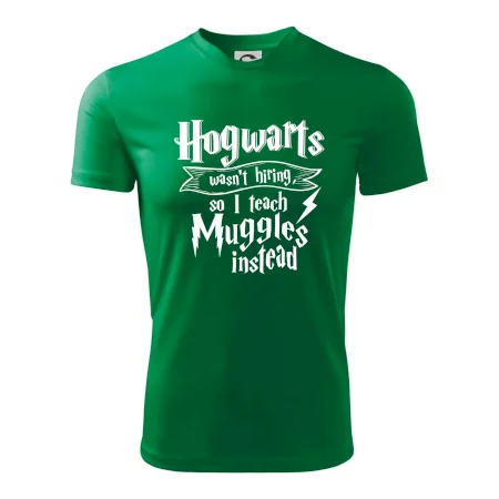 Harry - Hogwarts wasn’t hiring, so I teach Muggles instead