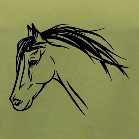 Kůň - hlava celá