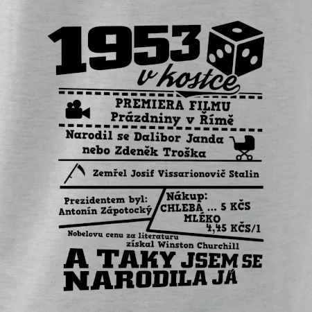 1953 v kostce