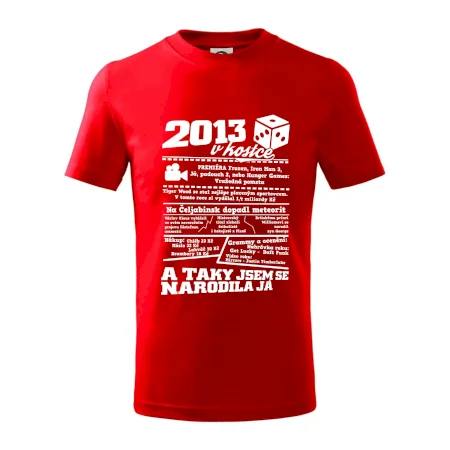 2013 v kostce