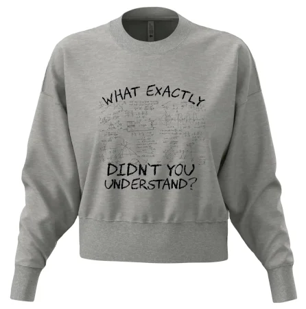 What exactly didnt you understand - physics