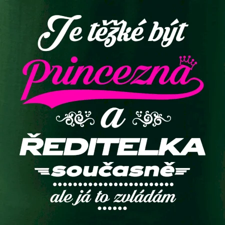 Je těžké být princezna - ředitelka