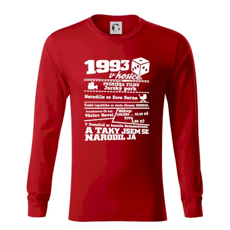 1993 v kostce