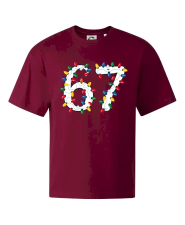 67 vánoční osvětlení