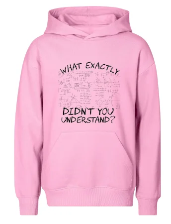 What exactly didnt you understand - physics
