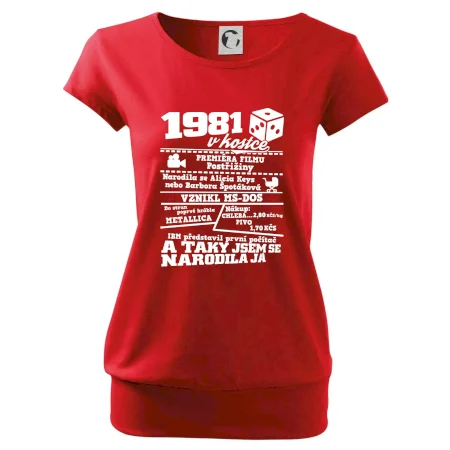 1981 v kostce