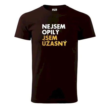Nejsem opilý jsem úžasný