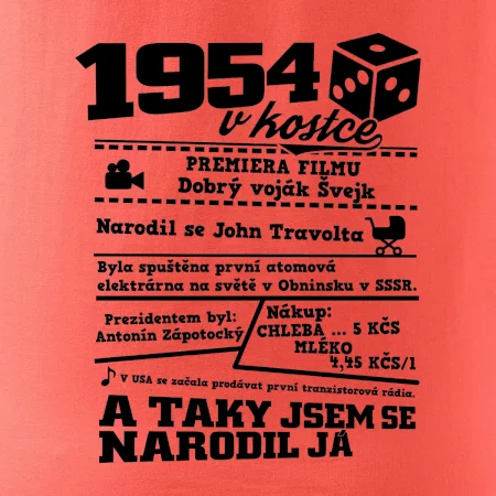 1954 v kostce