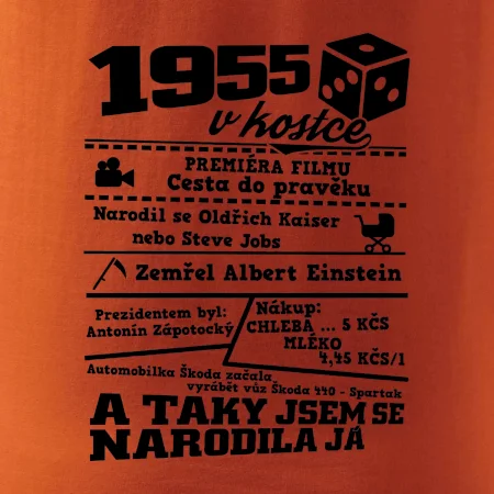 1955 v kostce