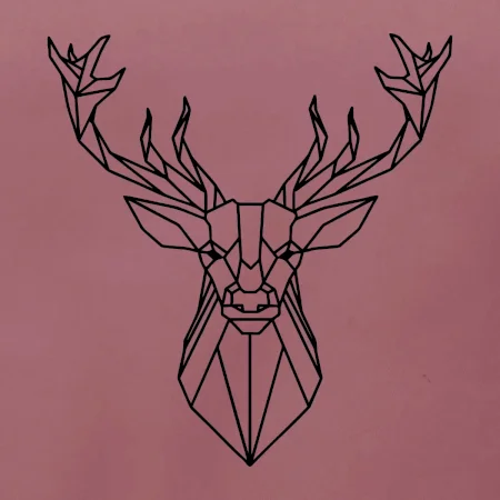 Geometrie - jelen
