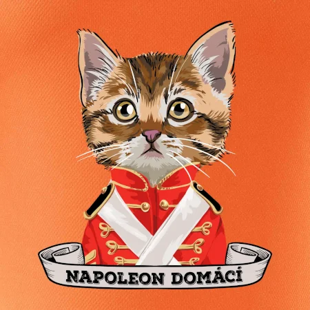 Napoleon domácí kočka