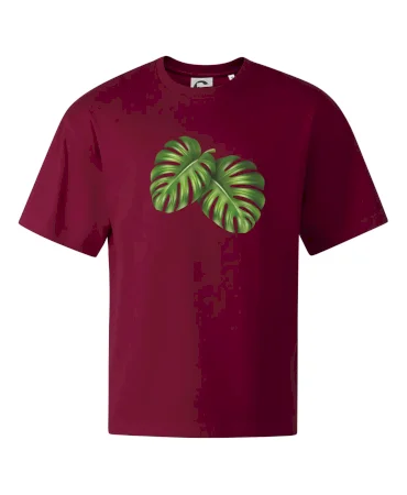 Monstera - dva listy