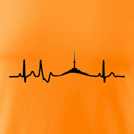 Ekg Jeseníky