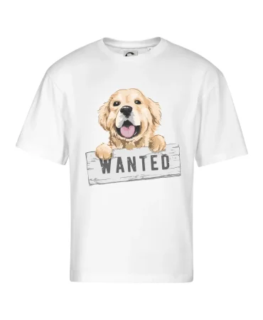 Zlatý retriever - štěně wanted