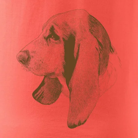 Basset - kreslená hlava