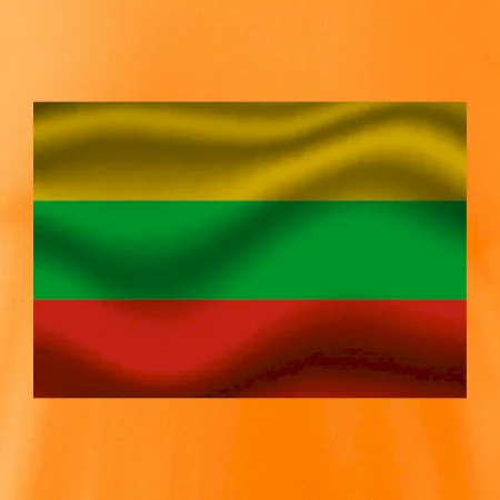 Litva vlajka obdélník