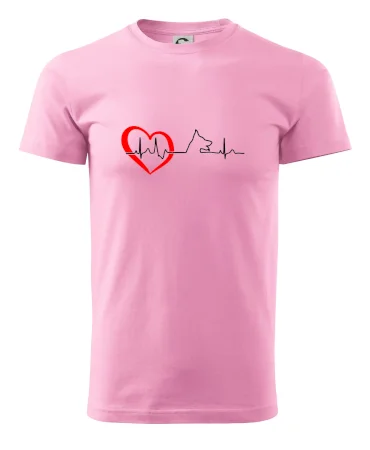 Německý ovčák ekg
