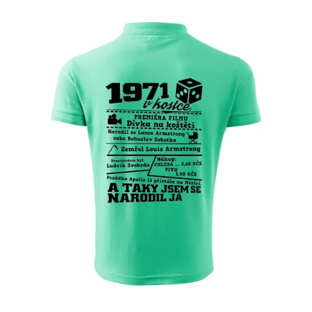 1971 v kostce