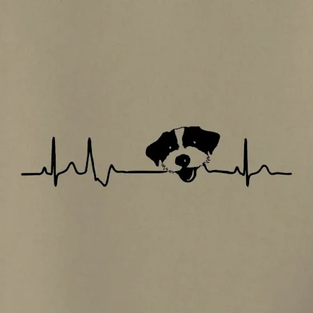 Jack Russell Terriér hrubosrstý Ekg