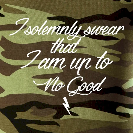 I solemnly swear that I'm up to no good