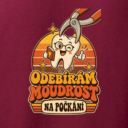 Odebírám moudrost na počkání