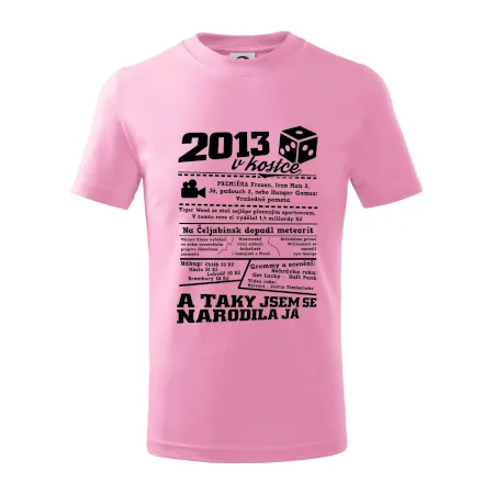 2013 v kostce