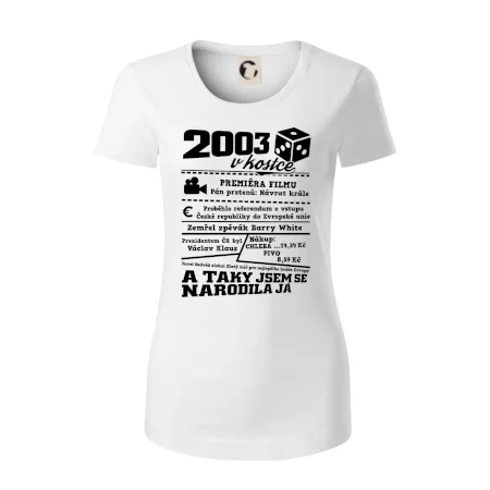 2003 v kostce