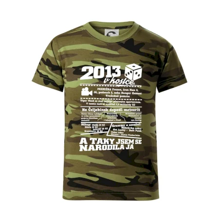 2013 v kostce