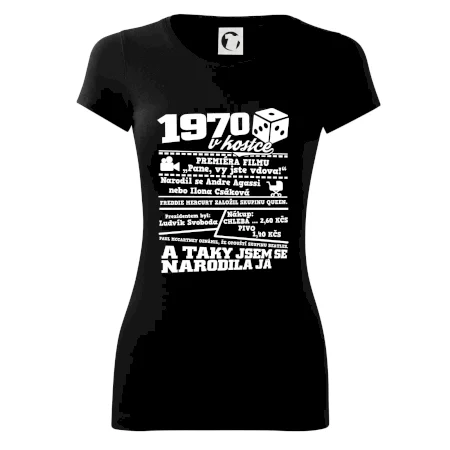 1970 v kostce