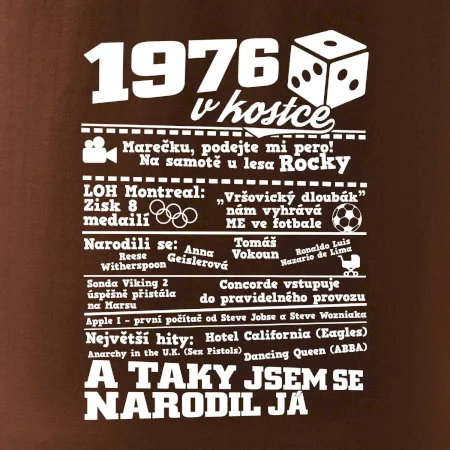 1976 v kostce