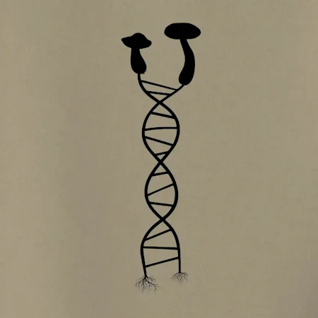 DNA houby