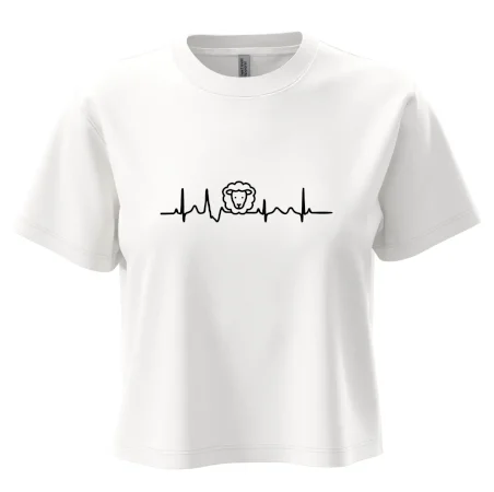 Ekg ovce