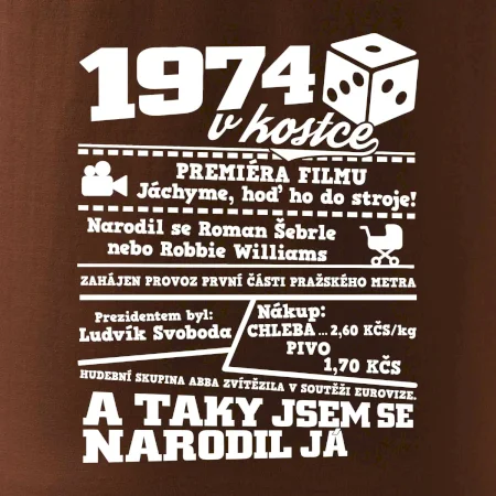 1974 v kostce