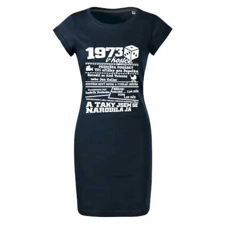 1973 v kostce