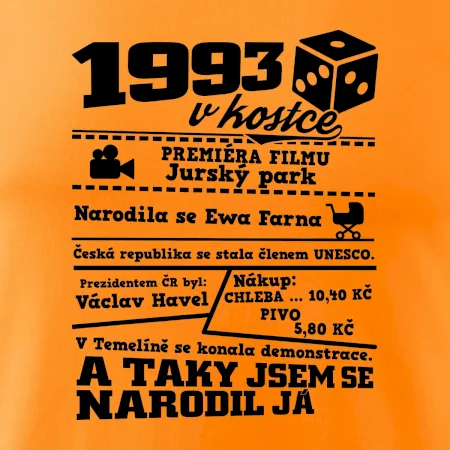 1993 v kostce