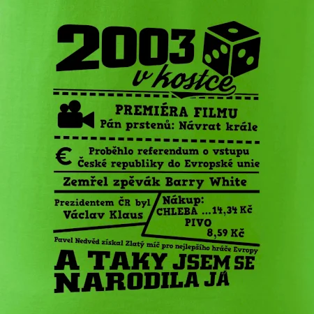 2003 v kostce