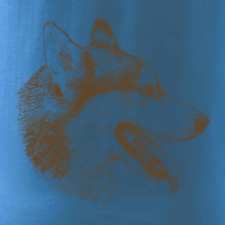 Husky - hlava z boku