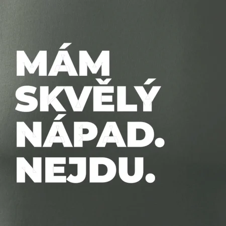 MÁM SKVĚLÝ NÁPAD. NEJDU.
