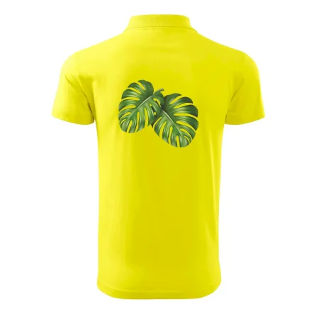 Monstera - dva listy