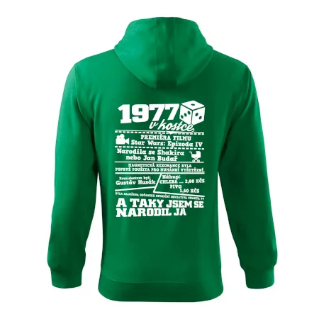 1977 v kostce