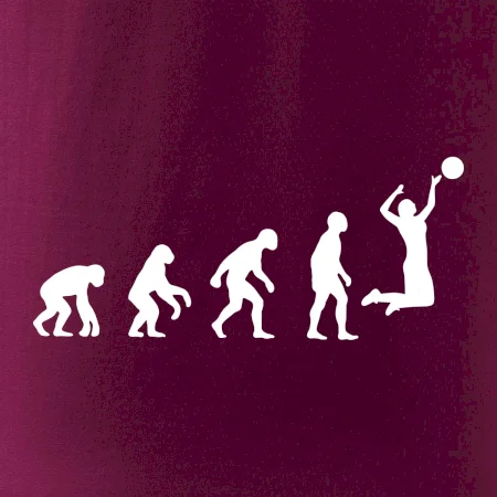 Evoluce volejbal žena