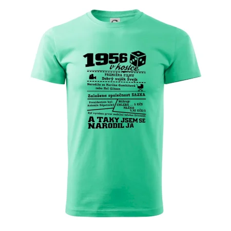 1956 v kostce