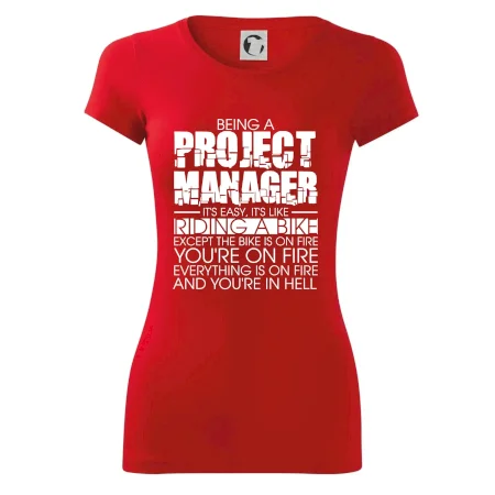 Being A Project Manager - bike