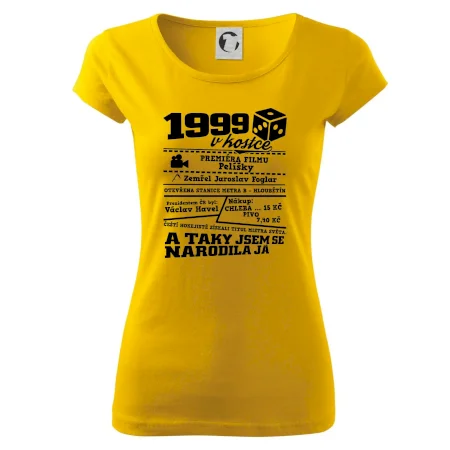1999 v kostce